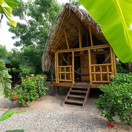 Hostal La Finquita Palomino Exterior photo