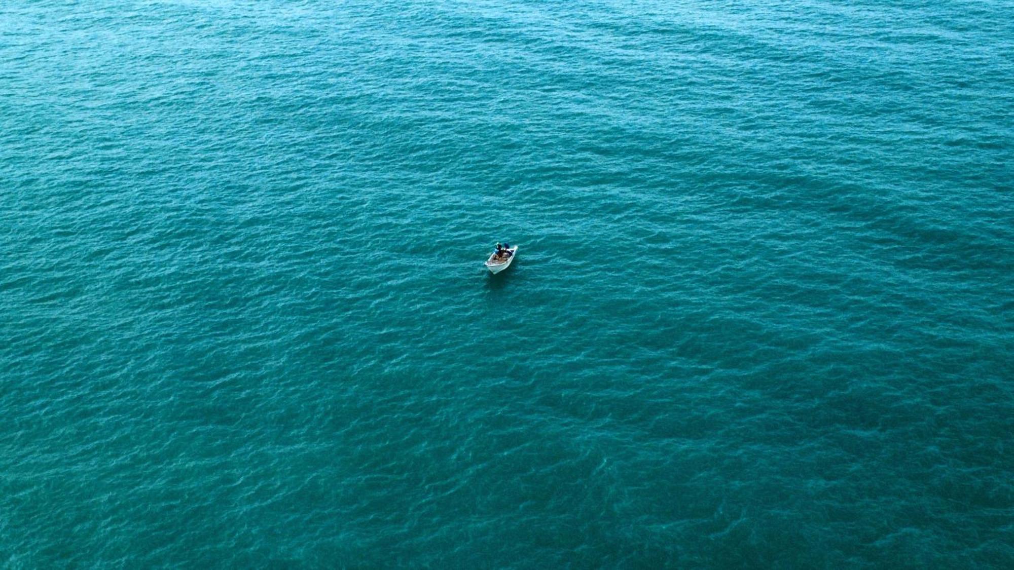 La Finquita * Palomino